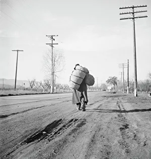 Dorothea Lange Print: Bindle-Stiff in Napa Valley, 1938
