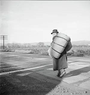Dorothea Lange Print: Bindle-Stiff, Napa Valley, 1938