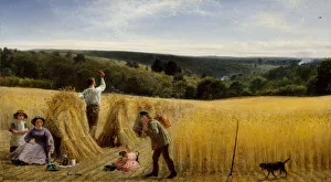 Agricultural Worker Occupation Prints: The Valleys Stand Thick With Corn, 1865. Creator: Richard Redgrave