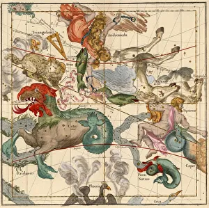 Vernal Equinox , Plate 2 from Globi coelestis in tabulas planas redacti descriptio, 1674 Vernal Equinox , Plate 2 from Globi coelestis in tabulas planas redacti descriptio, 1674