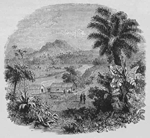 British Military History Pictures Prints: View in Cayenne, c1880
