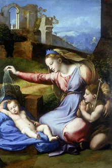 The Virgin of the Veil, early 16th century. Artist: Raphael The Virgin of the Veil, early 16th century. Artist: Raphael