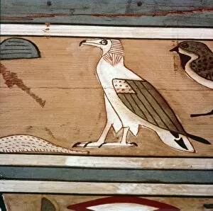 Minya Collection: Vulture on the inner wall of coffin of steward, Seni from El Bersha, Egypt, c2000 BC