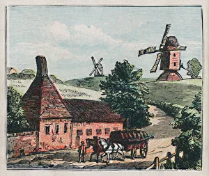Hertfordshire Countryside Prints: Ware, c1910