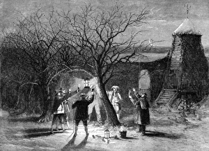 Wassailing apple trees with hot cider in Devonshire on twelfth eve, 1861 Wassailing apple trees with hot cider in Devonshire on twelfth eve, 1861