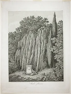 Weeping Willow, 1802 Print by Jacob Philip Hackert