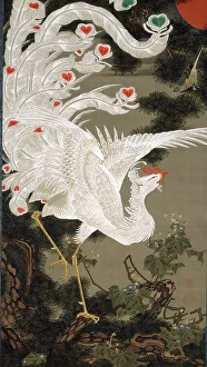 Oriental Arts And Culture Prints: White Phoenix and Old Pine Tree, 1766