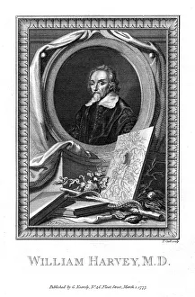 William Harvey, medical doctor, 1777.Artist: T Cook William Harvey, medical doctor, 1777.Artist: T Cook