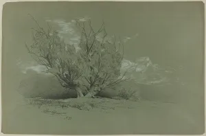 David Johnson's Willow Print, 1885