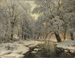 Hoarfrost On Trees Prints: Winter in the Forest, c1930