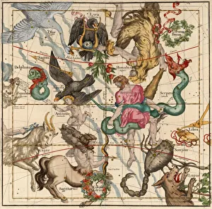 Winter Solstice , Plate 5 from Globi coelestis in tabulas planas redacti descriptio, 1674 Winter Solstice , Plate 5 from Globi coelestis in tabulas planas redacti descriptio, 1674