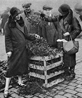 Women choosing bunches of mistletoe, Caledonian Market, London, 1926-1927 Women choosing bunches of mistletoe, Caledonian Market, London, 1926-1927