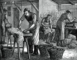 Victorian Era Occupation Prints: Wool sorters, c1880