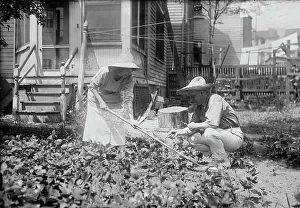 American Agriculture Prints: Wright & Dietrich, between c1915 and c1920. Creator: Bain News Service