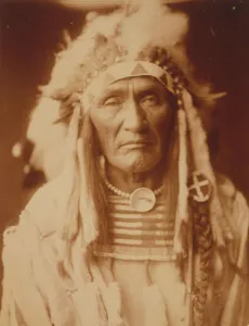 American Indian Heritage Prints: Young Hairy Wolf-Apsaroke, c1905. Creator: Edward Sheriff Curtis