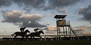 Racehorses on the gallops at Leopards Town Racehorses on the gallops at Leopards Town