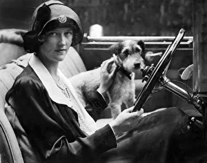 Taking the dog for a drive Taking the dog for a drive