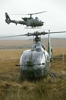 Images Dated 27th October 2004: Army Gazelle helicopters carrying trainee Forward Air Controllers (FACs) at RAF Spadeadam