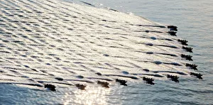 Royal Marines and Police Raiding Craft in Formation Royal Marines and Police Raiding Craft in Formation