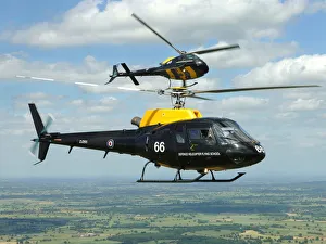 Two Squirel aircraft of 705 Sqn at RAF Shawbury Two Squirel aircraft of 705 Sqn at RAF Shawbury