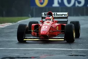 Images Dated 11th November 2002: Formula One World Championship: Former Ferrari driver Carlos Reutemann put in some very impressive