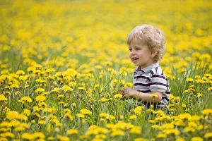 18-Month-Old Boy In Dandelion Field; Thunder Bay, Ontario, Canada 18-Month-Old Boy In Dandelion Field; Thunder Bay, Ontario, Canada
