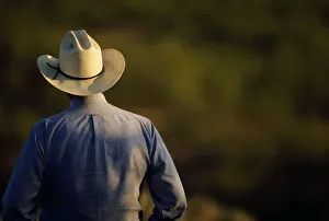 Agriculture - View of a cowboy from behind / Cee Vee, Texas, USA Agriculture - View of a cowboy from behind / Cee Vee, Texas, USA