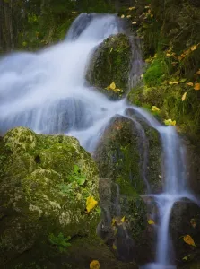 Alberta, Canada; A Waterfall Over Moss Covered Rocks Alberta, Canada; A Waterfall Over Moss Covered Rocks
