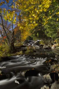 Alqonquin Provincial Park In Autumn, Ontario, Canada Alqonquin Provincial Park In Autumn, Ontario, Canada