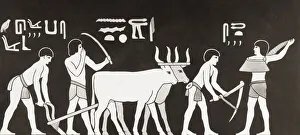 Artwork, Sowing and ploughing in ancient Egypt, from a contemporary print, c.1935; Artwork Artwork, Sowing and ploughing in ancient Egypt, from a contemporary print, c.1935; Artwork