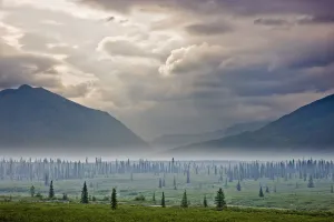Atmospheric Scenic Of Broad Pass And Boreal Forest With Smoke From Wildfires Settling In Valley, Southcentral Alaska Atmospheric Scenic Of Broad Pass And Boreal Forest With Smoke From Wildfires Settling In Valley, Southcentral Alaska