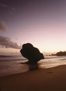 Barbados, Silhouette of strange shaped rock at dawn off the beach; Bathsheba Barbados, Silhouette of strange shaped rock at dawn off the beach; Bathsheba