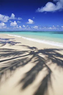 Beach Scene With Palm Shadow On Shoreline Sand, Tropical Beach Scene With Palm Shadow On Shoreline Sand, Tropical
