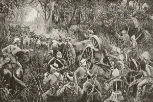 British Troops Force A Line Of Artillery Pieces Drawn By Oxen Teams Through The Bush British Troops Force A Line Of Artillery Pieces Drawn By Oxen Teams Through The Bush