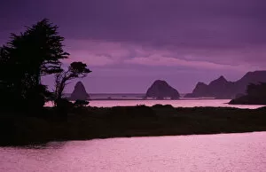 Images Dated 28th November 2006: California, Sonoma Coast At Dusk, Jenner, Russian River Entering Ocean