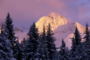 Chugach Mtns Bathed In Alpenglow Above Girdwood Ak Sc Winter Chugach Mtns Bathed In Alpenglow Above Girdwood Ak Sc Winter