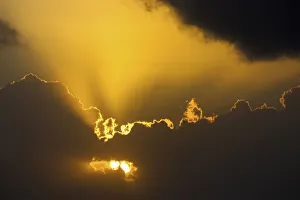 Close Up Of The Sun Coming Through Clouds With Rays Beaming Up At Sunrise; Akumal, Quintana Roo, Mexico Close Up Of The Sun Coming Through Clouds With Rays Beaming Up At Sunrise; Akumal, Quintana Roo, Mexico