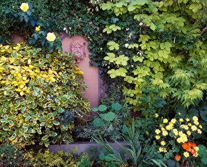 The Courtyard Garden, Fairfield Lodge, Dublin, Ireland The Courtyard Garden, Fairfield Lodge, Dublin, Ireland