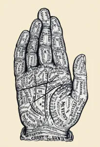 Diagram of right hand used for palm reading showing multitude of information amongst palmar flexion creases Diagram of right hand used for palm reading showing multitude of information amongst palmar flexion creases