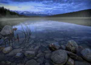 Early Summer Morning On Patricia Lake, Jasper National Park, Alberta Early Summer Morning On Patricia Lake, Jasper National Park, Alberta