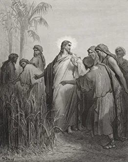 Engraving From The Dore Bible Illustrating Mark Ii 23 Jesus And His Disciples In Engraving From The Dore Bible Illustrating Mark Ii 23 Jesus And His Disciples In