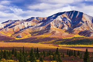 Fall Colours And Fang Mountain, Denali National Park, Alaska Fall Colours And Fang Mountain, Denali National Park, Alaska