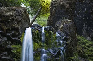 Fall Creek Falls, Near Job's Garden; Glide, Oregon, United States Of America Fall Creek Falls, Near Job's Garden; Glide, Oregon, United States Of America