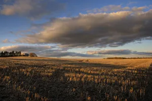 Farm And Stubble In Fall During Harvest, Near Edmonton, Alberta Farm And Stubble In Fall During Harvest, Near Edmonton, Alberta