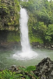 Fiji, Taveuni, Tavoro Waterfall cascading into tropical pool; Bouma National Heritage Fiji, Taveuni, Tavoro Waterfall cascading into tropical pool; Bouma National Heritage