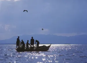 Fishermen Pulling Fishing Nets On Small Boat On Lake Chilwa Fishermen Pulling Fishing Nets On Small Boat On Lake Chilwa