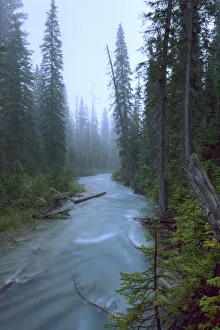 Fog Over The Emerald River, Yoho National Park, British Columbia Fog Over The Emerald River, Yoho National Park, British Columbia