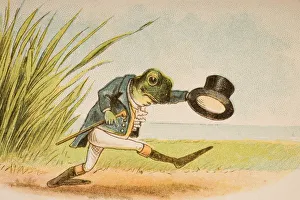 The Frog Who Would A Wooing Go From Old Mother Gooses Rhymes And Tales Illustration The Frog Who Would A Wooing Go From Old Mother Gooses Rhymes And Tales Illustration