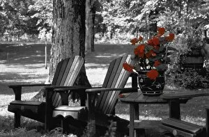 Images Dated 23rd January 2005: Garden Chairs With Red Flowers In A Pot