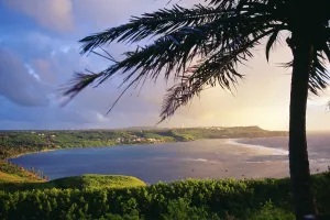 Guam, View Of Pago Bay From University Of Guam, Silhouette Of Palm Tree Guam, View Of Pago Bay From University Of Guam, Silhouette Of Palm Tree
